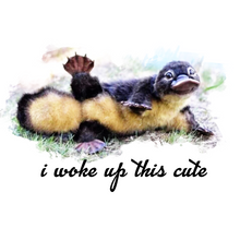 Load image into Gallery viewer, &quot;I Woke Up This Cute,&quot; said Puggle, the baby platypus.
