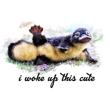 Load image into Gallery viewer, "I Woke Up This Cute," said Puggle, the baby platypus.